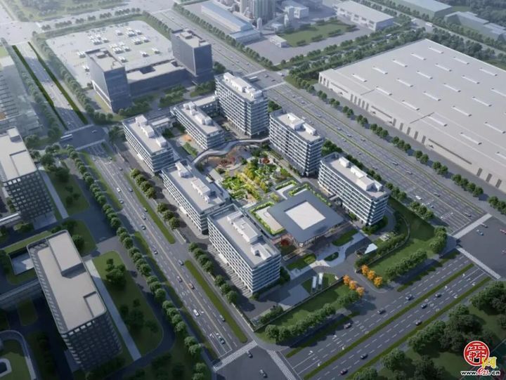 喜封金顶启新程 孝润初心铸典范 