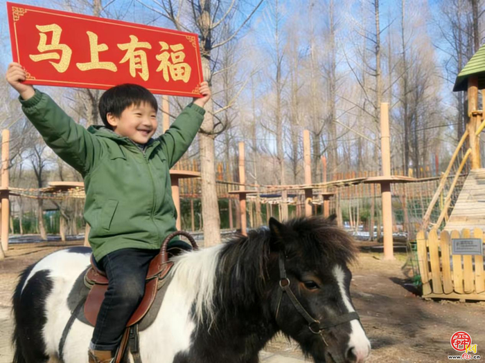 音乐派对、萌宠互动……济南文旅集团多元活动开启跨年狂欢盛宴