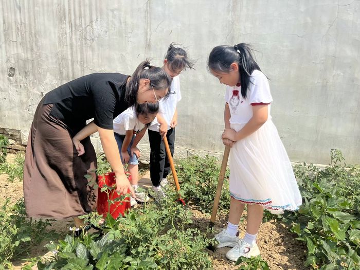 起步区大庄小学：在家也可享受食育之美