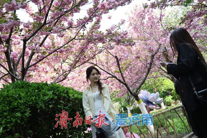 一年四季 泉在济南丨泉城花海醉游人 赏花经济持续升温