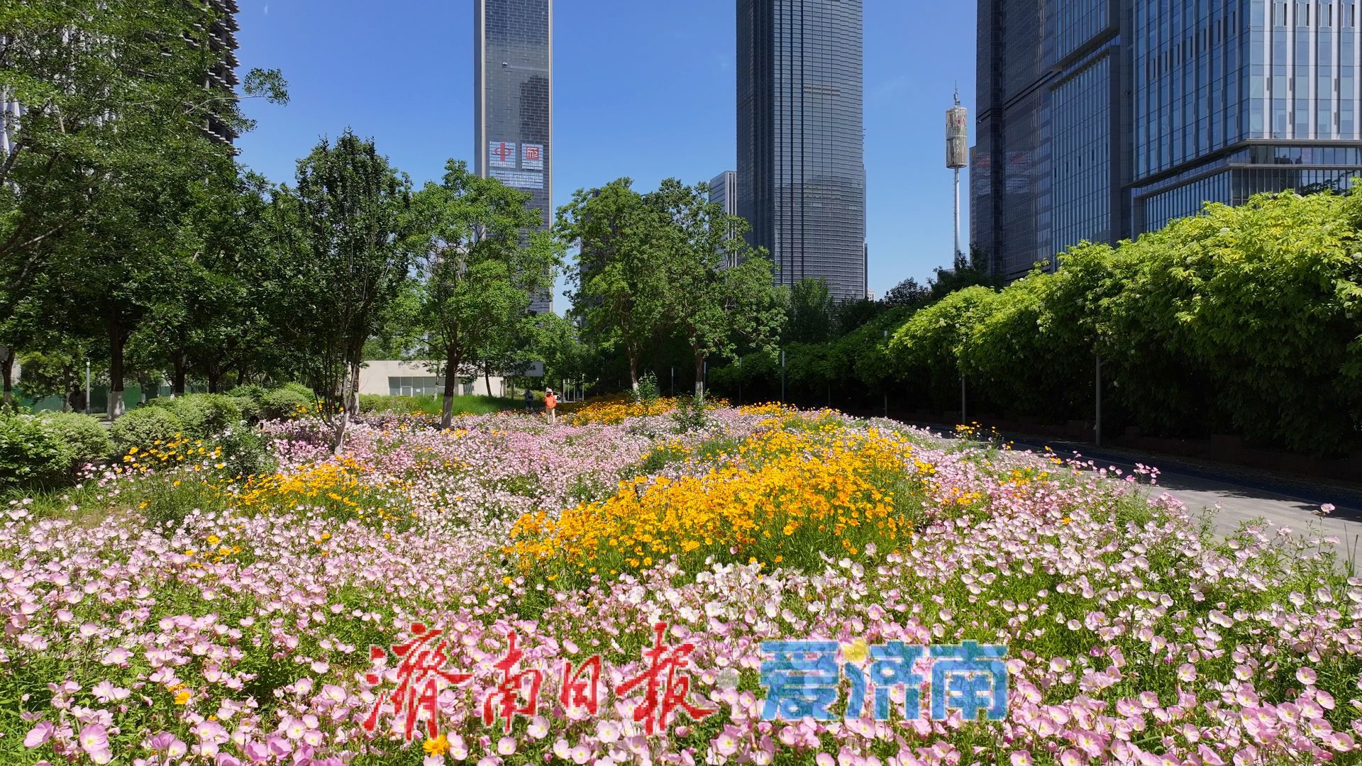 济南CBD：高楼与绿意共生，都市与自然相融
