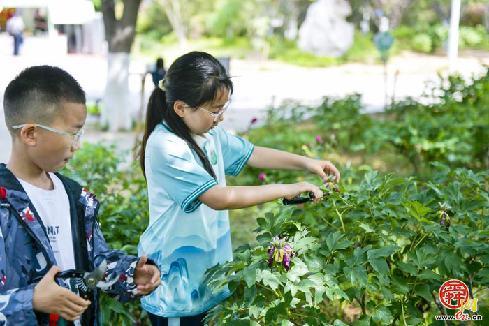 不负春日好时光 植绿护绿共前行——济南市春季全民义务植树活动火热进行中