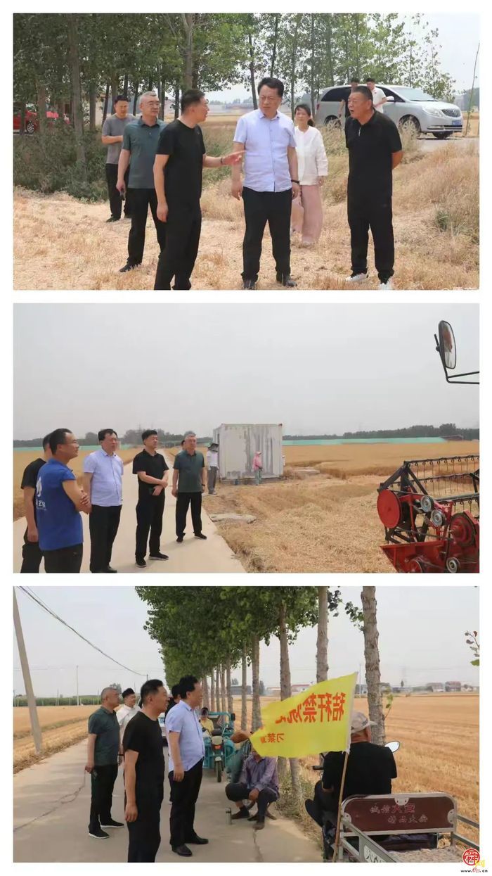 风吹麦浪穗飘香 又是一年好“丰”景——刁镇街道全力做好“三夏”生产工作