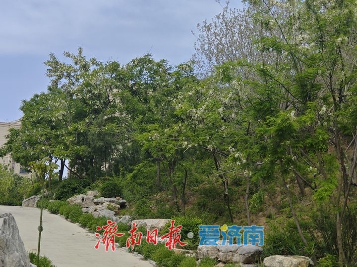 一年四季 泉在济南丨春色满园人气旺 山体公园成春游好去处