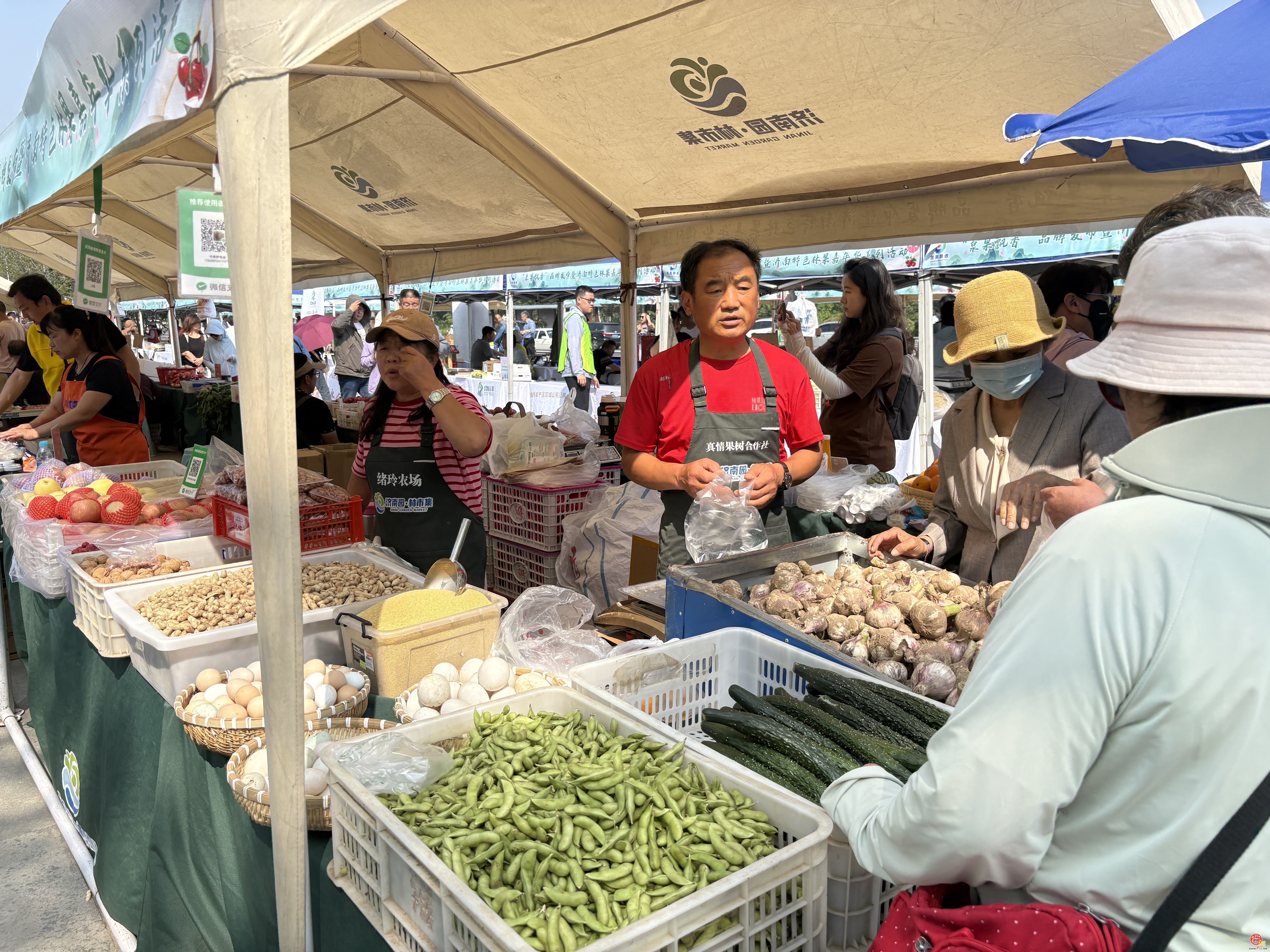 “泉果飘香”品牌发布暨首届济南特色林果嘉年华系列活动启动