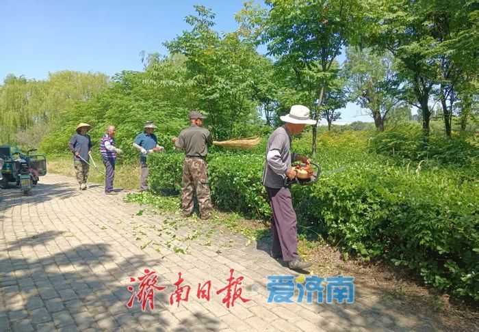 端午赏荷好去处！300亩荷花盛放绣源河