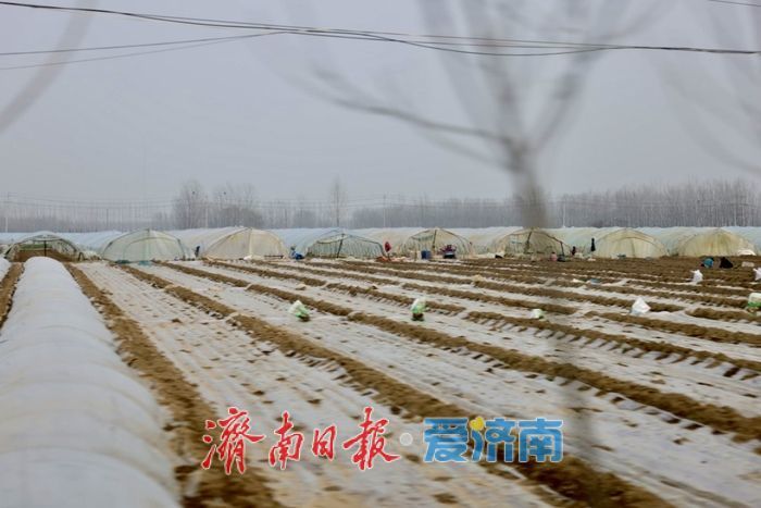 春雨润田农事忙