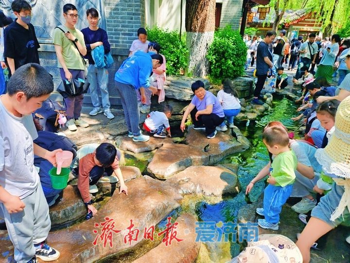 一年四季 泉在济南丨趵突泉畔戏水觅清凉 游客尽享亲水惬意