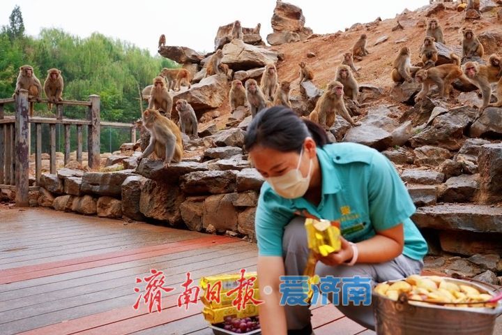 济野中秋，动物团圆！济南野生动物世界中秋动物丰容欢乐上线