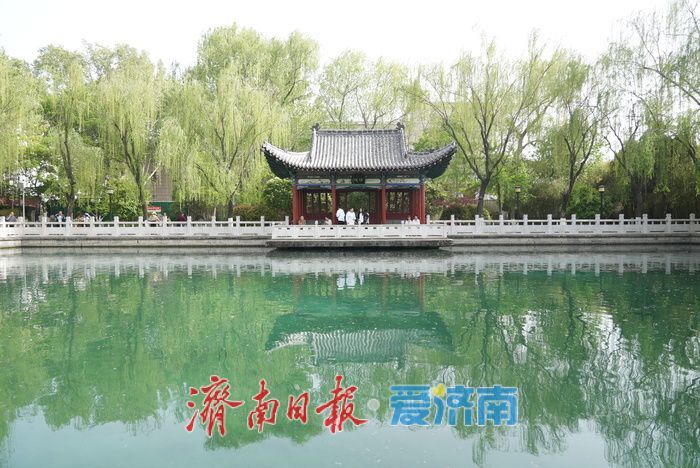 一年四季·泉在济南｜春日珍珠泉焕新颜，泉韵醉人引客来