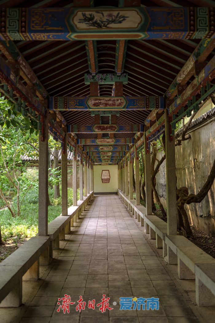 一年四季 泉在济南丨酷暑时节，来济南万竹园解锁夏日清凉