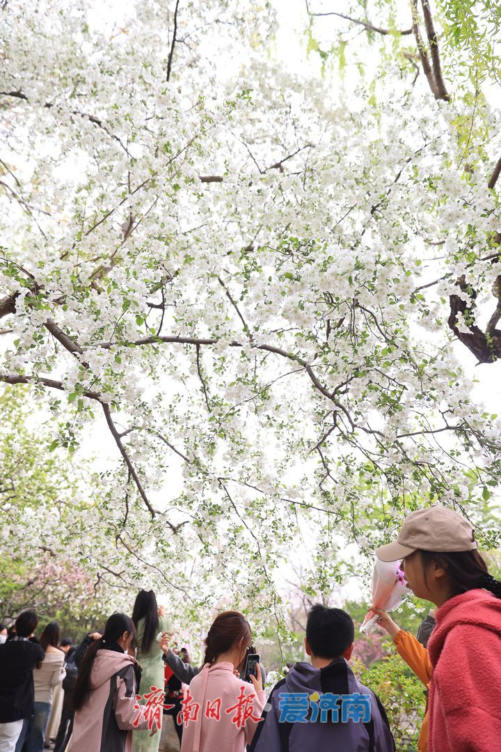 假期最后一天，济南这些地方不要错过！