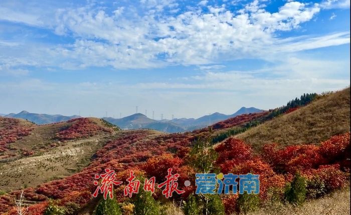 岔峪村红叶入秋，南山藏着小众打卡地