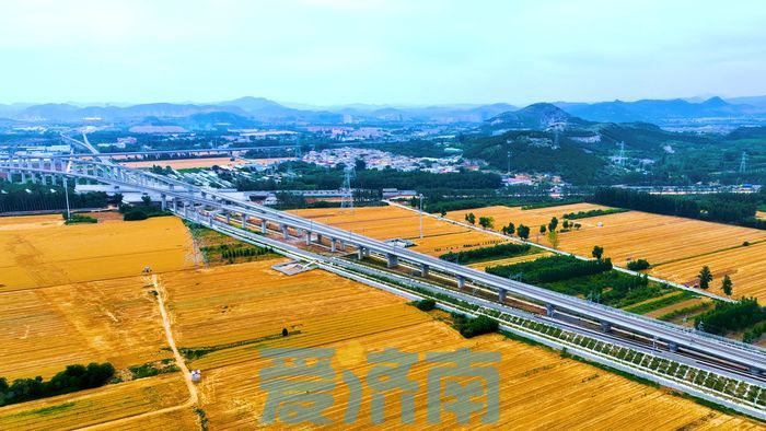 轻风翻麦浪，“丰景”美如画！ 市中2.62万亩小麦陆续开镰