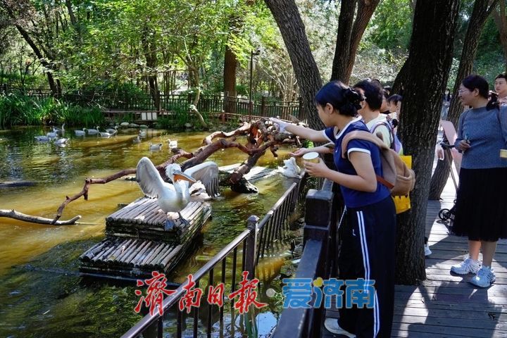 国庆第二天泉城文旅活力持续释放 全市30家景区共接待游客66.41万人次