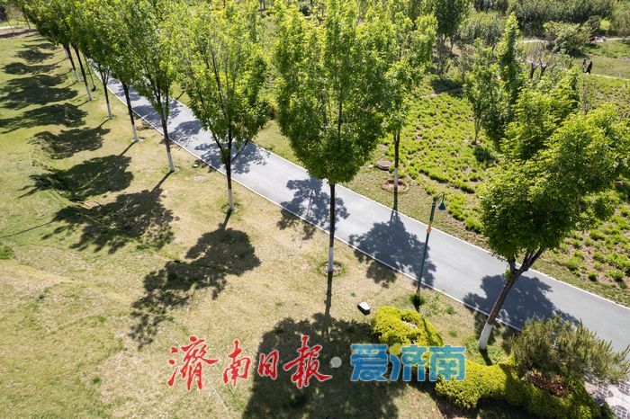 昔日老厂区变身城市绿肺，济钢中央森林公园春意正浓