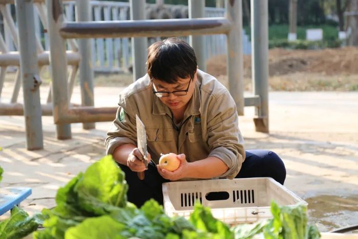 济南动物园网红小象“出街”时间确定，快去和它见面吧！