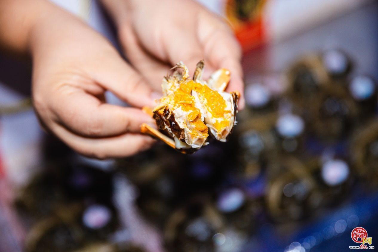 “海味万千·泉城领鲜” 第二届济南海鲜节启幕 邀您畅享海味盛宴！
