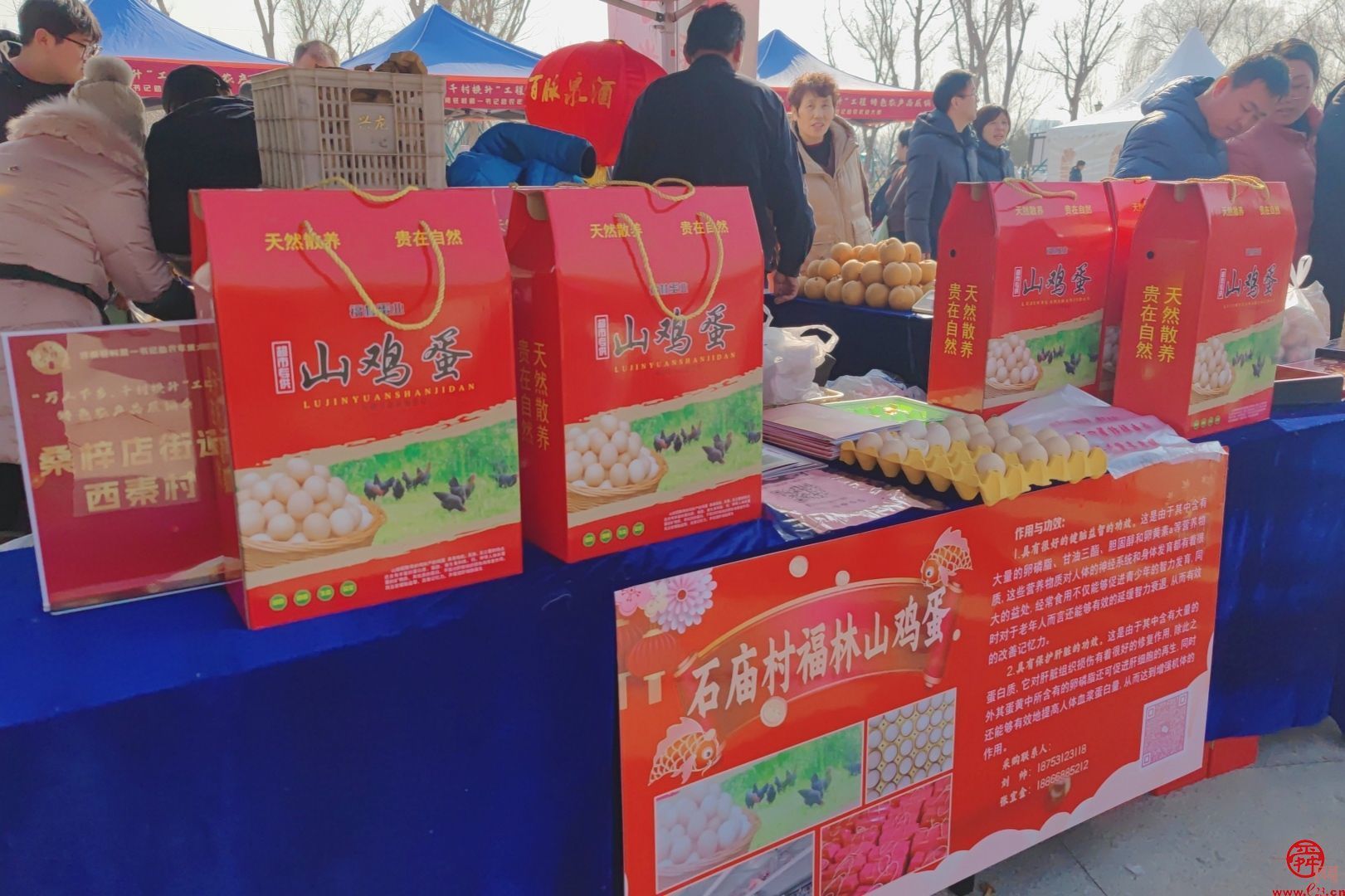 “泉”在济南过大年