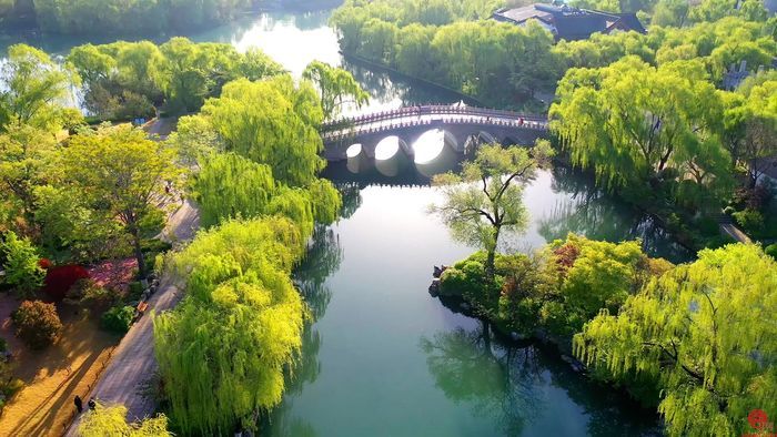 “泉”在济南过五一丨泉城文旅推荐管带您畅玩泉城