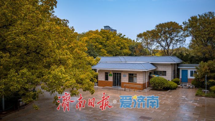 一年四季 泉在济南丨济南泉城公园：秋日胜景如画，市民尽享自然之美