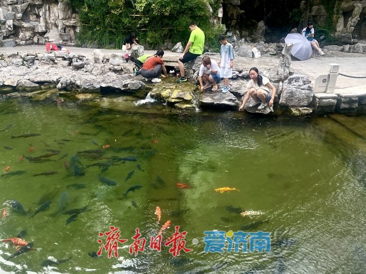 一年四季 泉在济南｜泉边夏日 戏水纳凉好景致