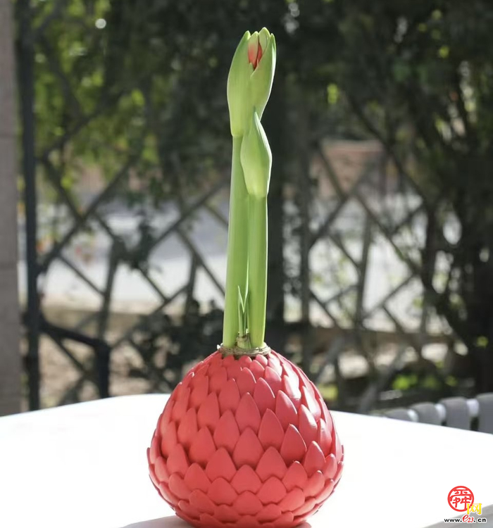 花漾齐鲁·喜迎新春 2026年宵花市盛大开幕