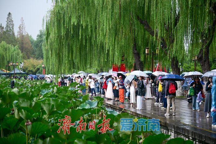 一年四季 泉在济南 