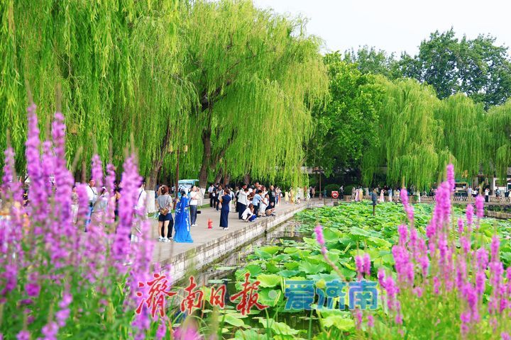 漫步湖畔赏美景 欢度端午享闲暇