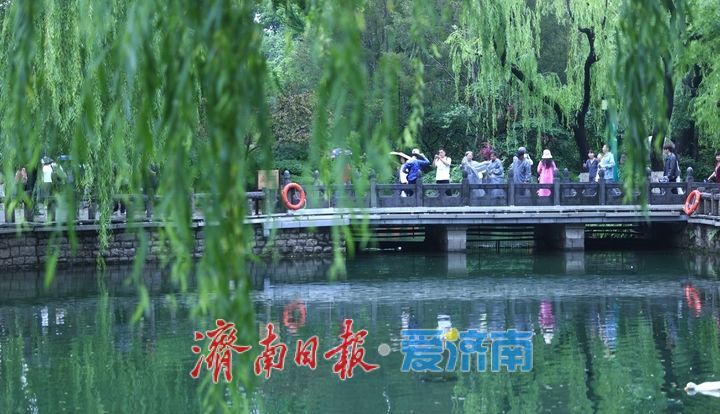 一年四季 泉在济南｜烟雨入泉城 “泉水游”热度不减