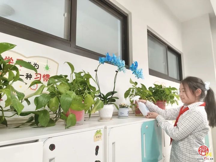 春光作序 植此新绿——济南市历下区龙奥学校植树节主题活动