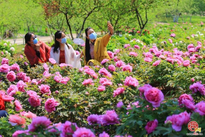 一年四季 泉在济南｜