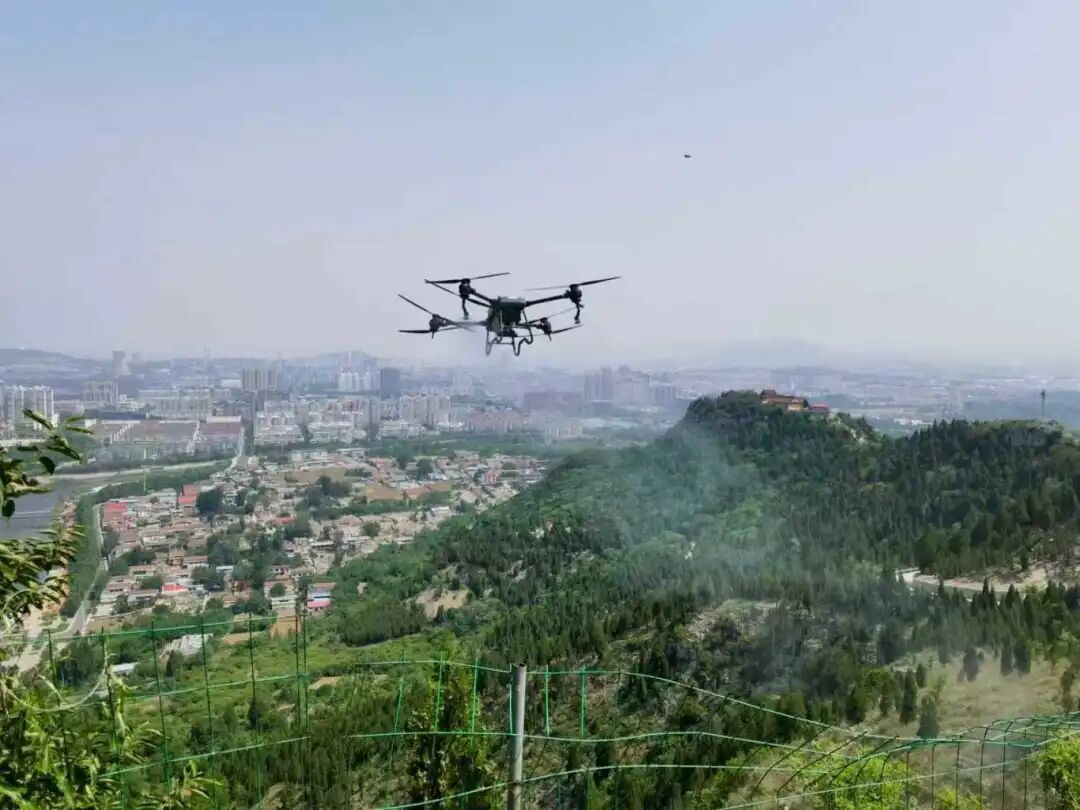 城市因园林更美好 生活因园林更幸福——2025年济南市园林和林业绿化局高质量成果展