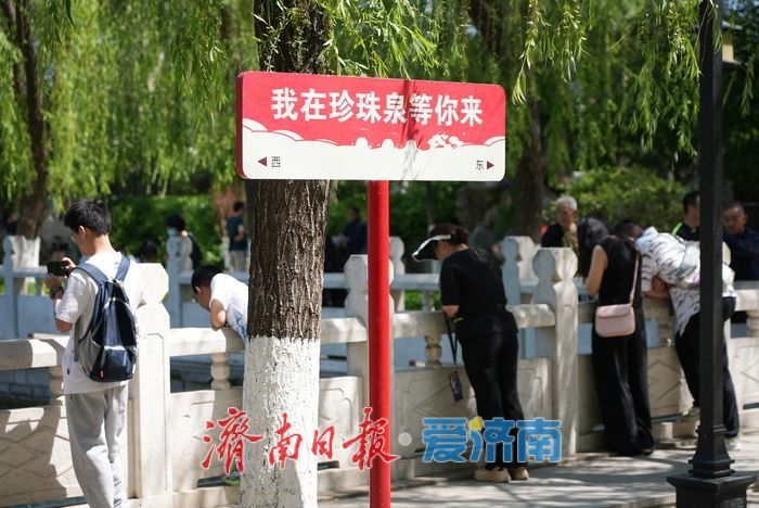 一年四季 泉在济南丨珍珠泉畔绿意盎然，游客争睹“泉涌珍珠”盛景