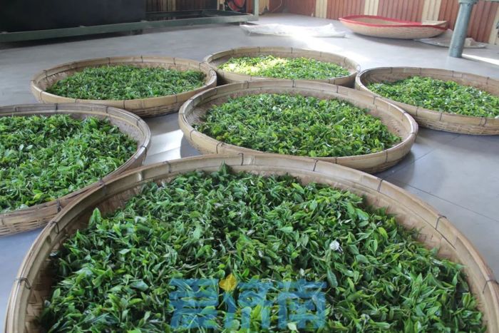 春日济南一路繁花，济南区县“五一”多彩文旅活动等你来打卡