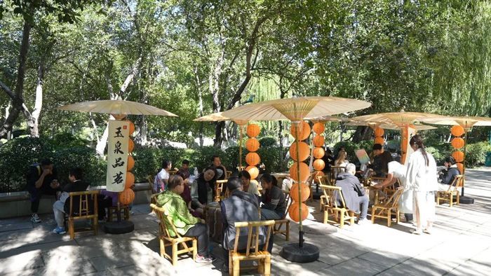 慢时光赏樱花，第二十二届五龙潭樱花节即将启幕