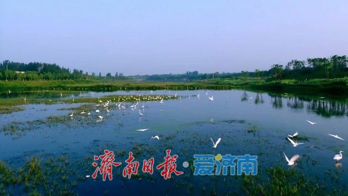 入选省级美丽河湖典型案例！看济南玉符河如何从“城郊疮疤”蝶变为“城市客厅”