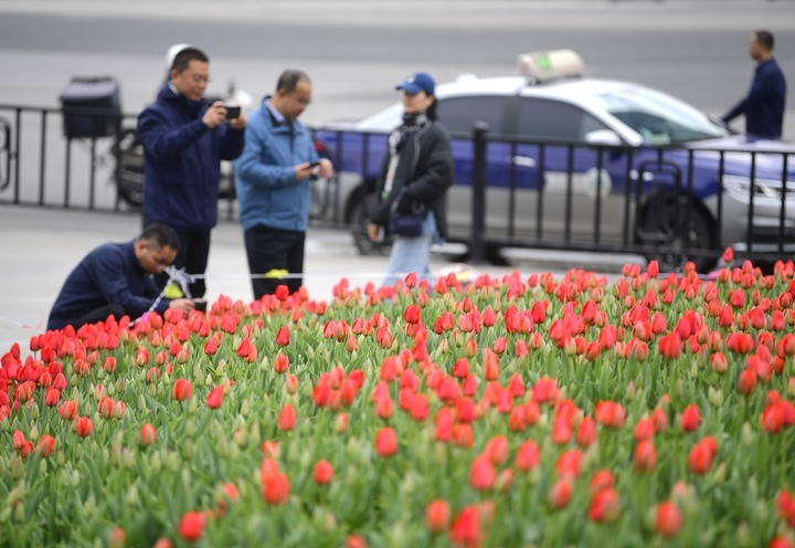 春花烂漫时，“郁”见你真好