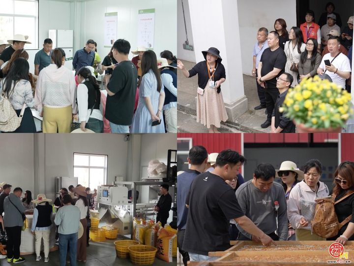 问津寻道提质创新 学用贯通耕读致远——济南市高素质农民培育“学用贯通”综合试点乡村运营管理专题第二阶段培训在武汉成功举办