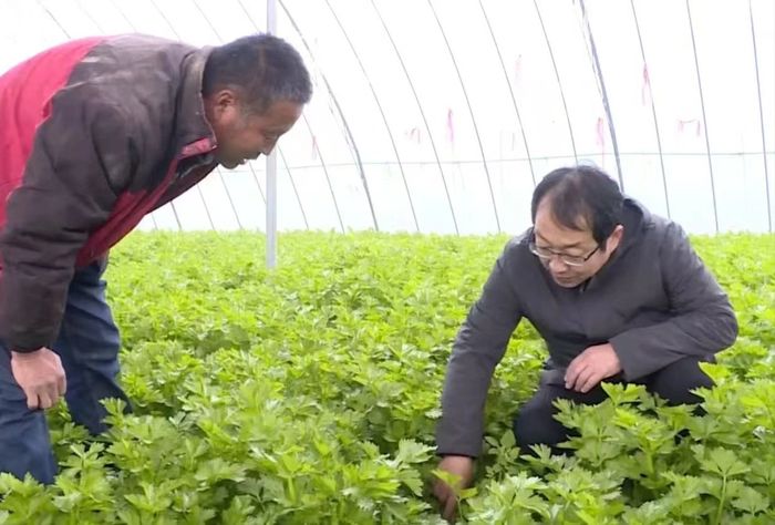 济南各区县以雪为令，全力以赴保畅通护民安