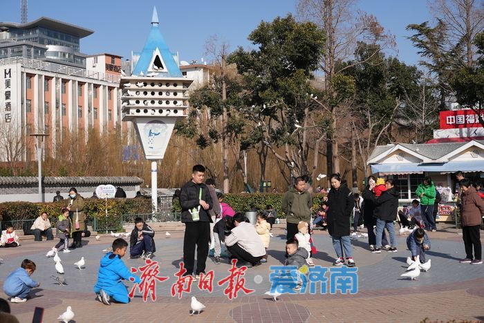 春风和煦，市民欢“鸽”笑语度周末