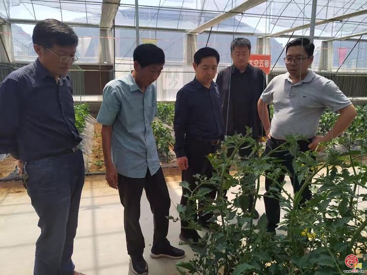 章丘区：开展专家服务活动 发展特色农业 助力乡村振兴发展