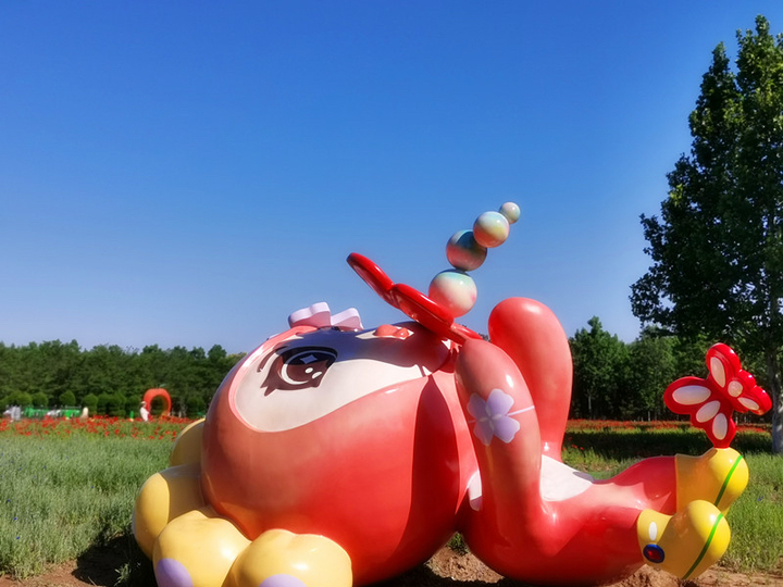 新晋打卡地！济南鲜花港万平花海美到炸