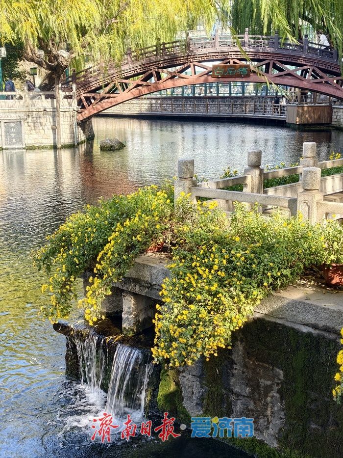 一年四季 泉在济南丨玛瑙泉“瀑布流金”引客来