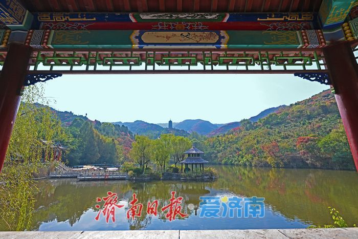 红了！济南的秋天藏在这里