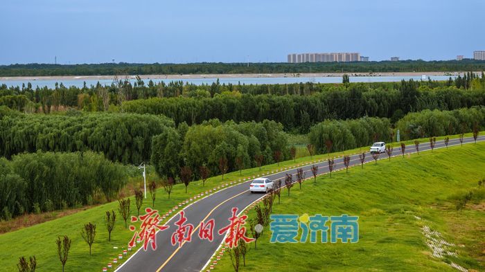 一年四季 泉在济南丨玉符河生态公路 绿意与辽阔尽收眼底