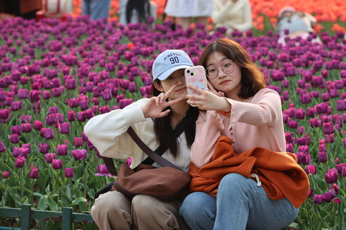“郁”见美好！济南这里郁金香缤纷盛开，温馨浪漫