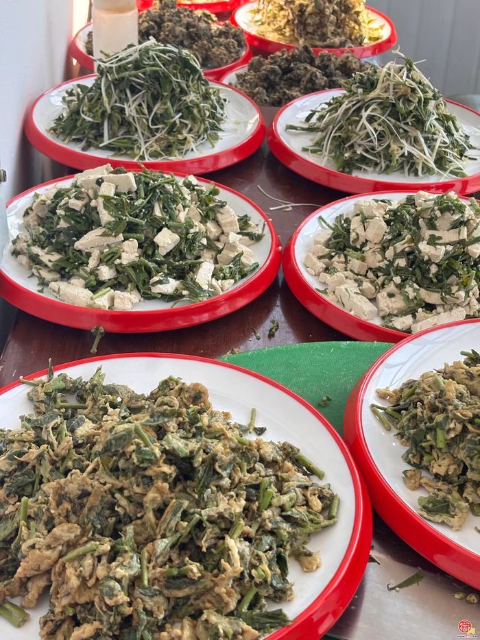 普集街道第三届香椿采摘节开幕啦!