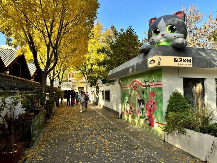 这份秋色图鉴，带您打卡藏在公园里的济南秋景