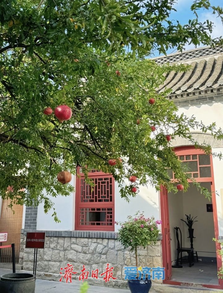 一年四季 泉在济南丨钻进胡同，你也许能发现“隐藏款”！“石榴小院”走红启示录